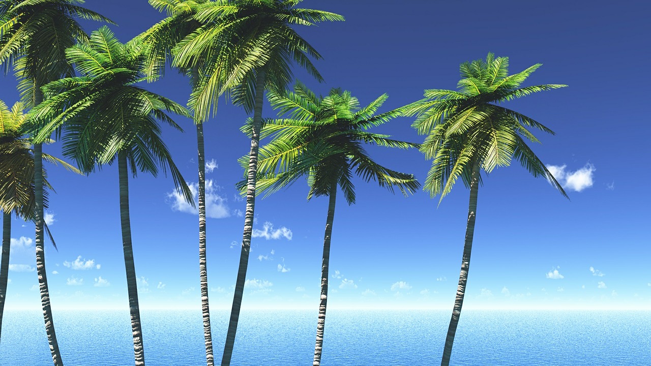 タワマンに引っ越して1年7ヶ月が過ぎました！｜タワマン社長のブログ